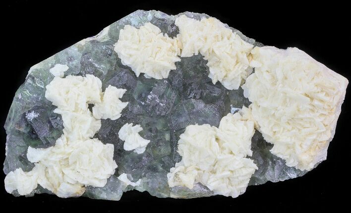 White Dolomite Flowers On Fluorite - (Clearance Price) #44658
